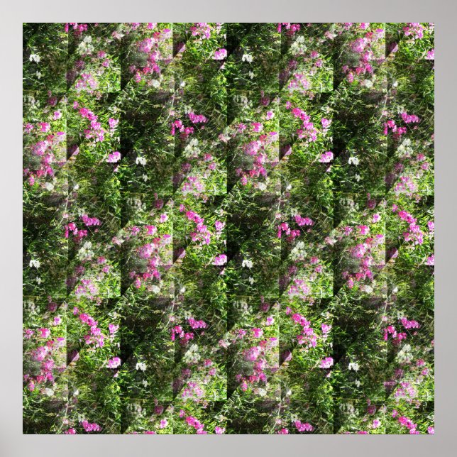 Delightful Sweetpeas.... Poster (Front)