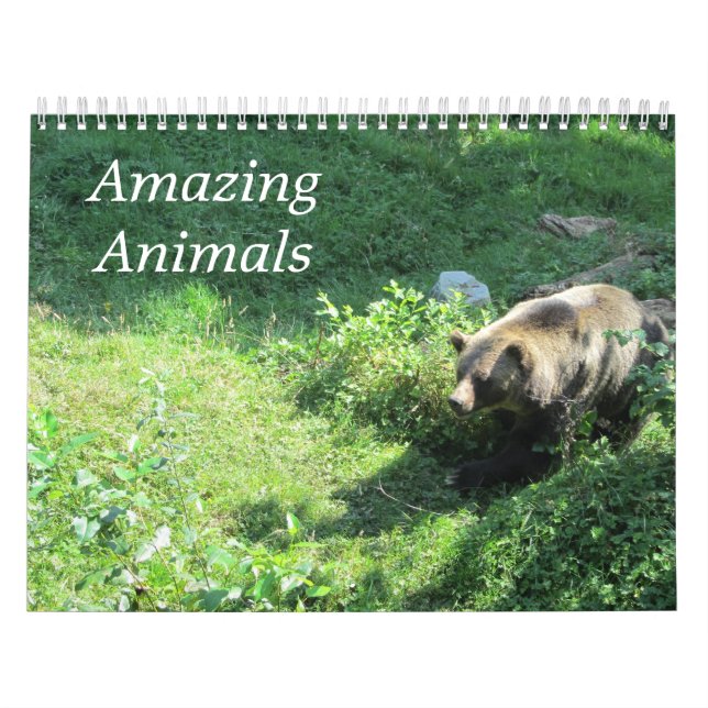 Delightful Wild Animals in Nature  Calendar (Cover)