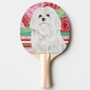 Della Rose Maltese Ping Pong Paddle