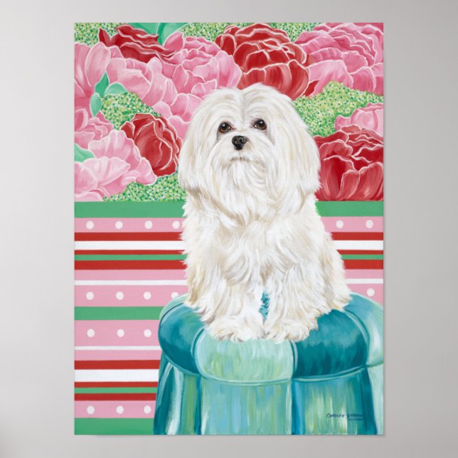 Della Rose Maltese Poster (Front)