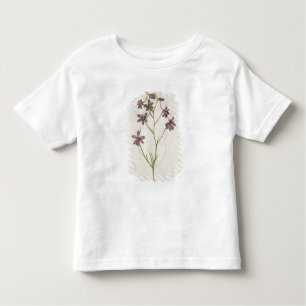 Delphinium ajacis, c.1568 toddler T-Shirt