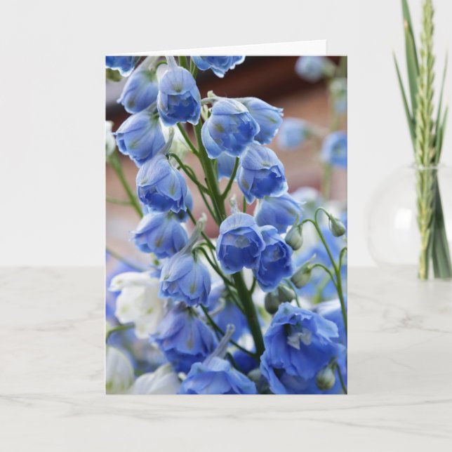 Delphinium Flowers Greeting Card (Front)