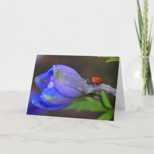 Delphinium Greeting Card
