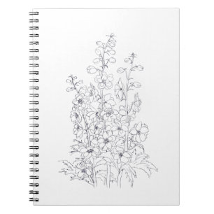 delphinium  larkspur flower drawing notebook