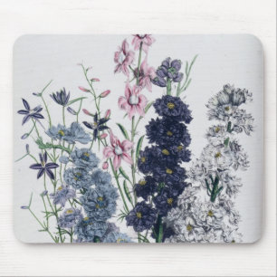 Delphiniums, from 'The Ladies' Flower Garden' Mouse Pad