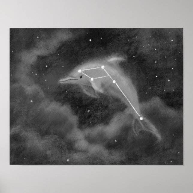 Delphinus Constellation Dolphin Poster (Front)