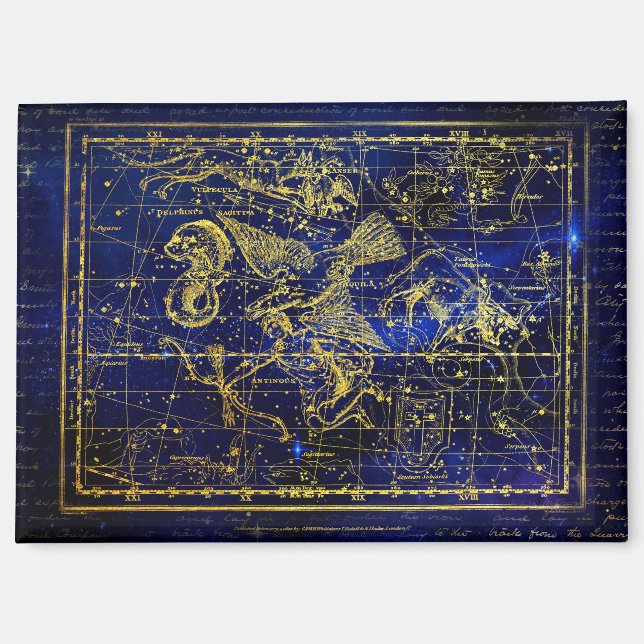 delphinus constellation magnet (Front)