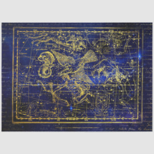 delphinus constellation tissue paper