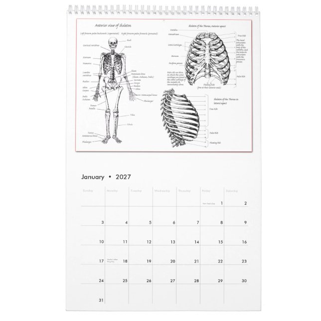 Dem Bones Calendar (Jan 2027)