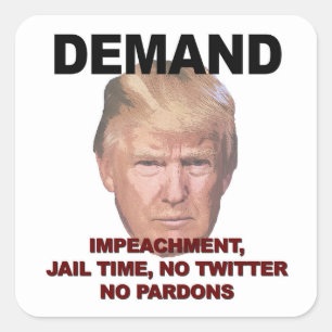Demand Impeachment, Jail, No Twitter, No Pardons Square Sticker