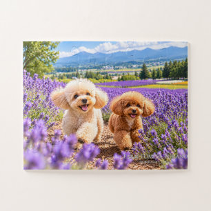 Dementia Puzzle, 30 Pieces, Toy Poodl Puzzle