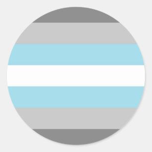 DemiBoy flag Classic Round Sticker
