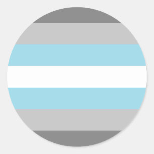 Demiboy Pride Flag Classic Round Sticker