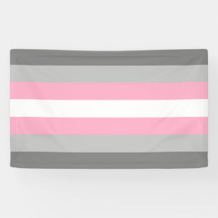 Demigirl Pride Banner