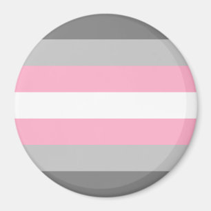 Demigirl Pride Flag Magnet