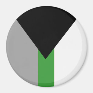 Demiromantic Pride Flag Magnet