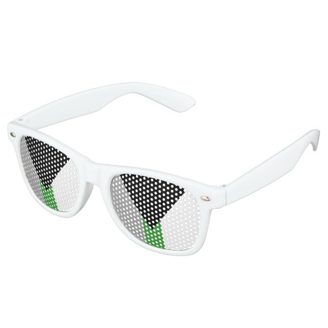 Demiromantic Pride Flag Retro Sunglasses (Angled)