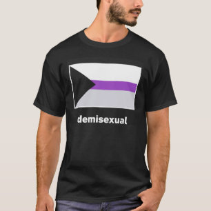 Demisexual Pride Flag Demisexual Flag T-Shirt