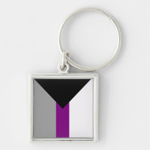 DEMISEXUAL PRIDE KEY RING
