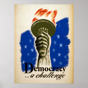 Democracy Unedited Vintage Photos Old Aesthetic Pi Poster