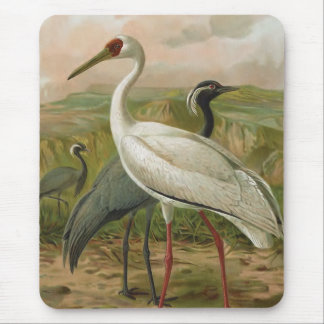 Demoiselle and Siberian Cranes Vintage Bird Mouse Pad