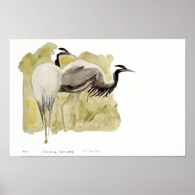 Demoiselle Cranes Poster (Front)