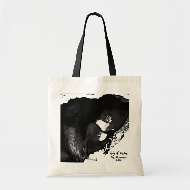 Den Cam Ely 2010 Tote Bag (Front)