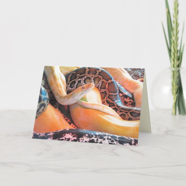 Den of Snakes Greeting Card (Front)