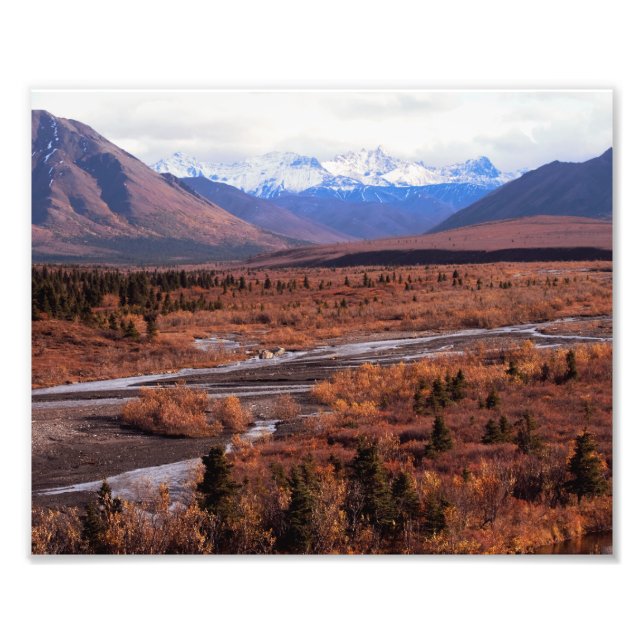 Denali, Alaska, Snow capped mountains, Fall, photo Print (Front)