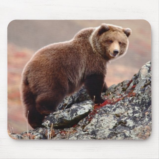 Denali Brown Bear Mouse Pad (Front)