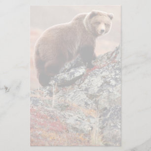 Denali Brown Bear Stationery