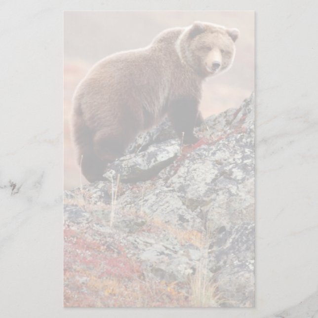 Denali Brown Bear Stationery (Front)