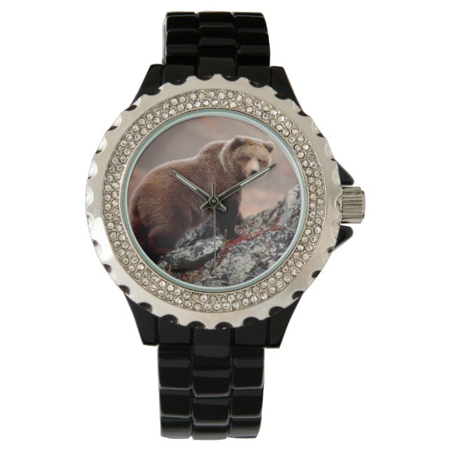 Denali Brown Bear Watch (Front)