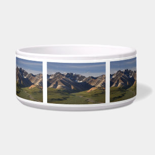 Denali National Park