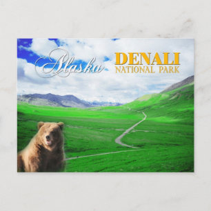 Denali National Park, Alaska Postcard