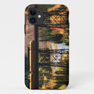 Denali National Park and Preserve USA Alaska iPhone 11 Case