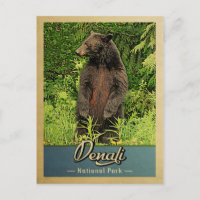 Denali National Park Vintage Bear