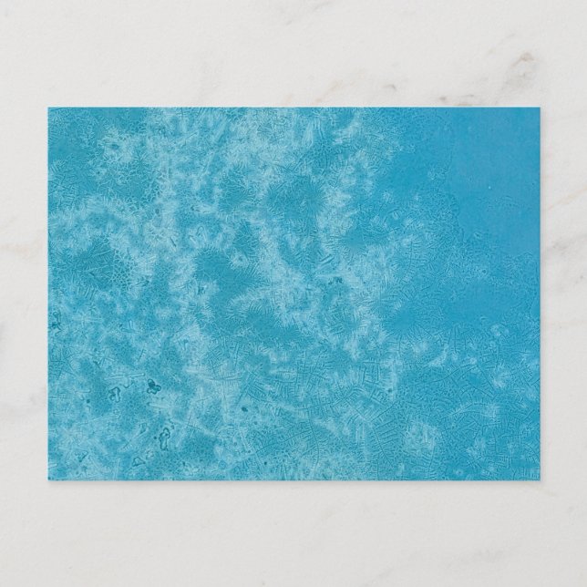 Dendritic Crystals - 1 Postcard (Front)