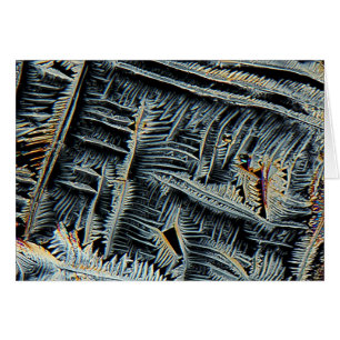 Dendritic crystals under the microscope