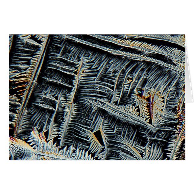 Dendritic crystals under the microscope (Front Horizontal)