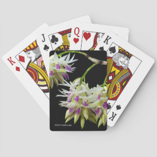 Dendrobium Amethystoglossum Playing Cards
