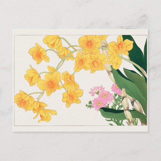 Dendrobium, China aster by Tanigami Konan Postcard (Front)