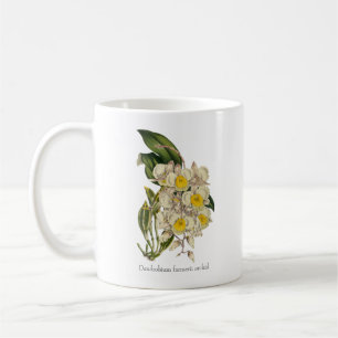 Dendrobium farmerii Orchid Coffee Mug