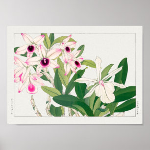 Dendrobium, Orchid by Tanigami Konan Poster