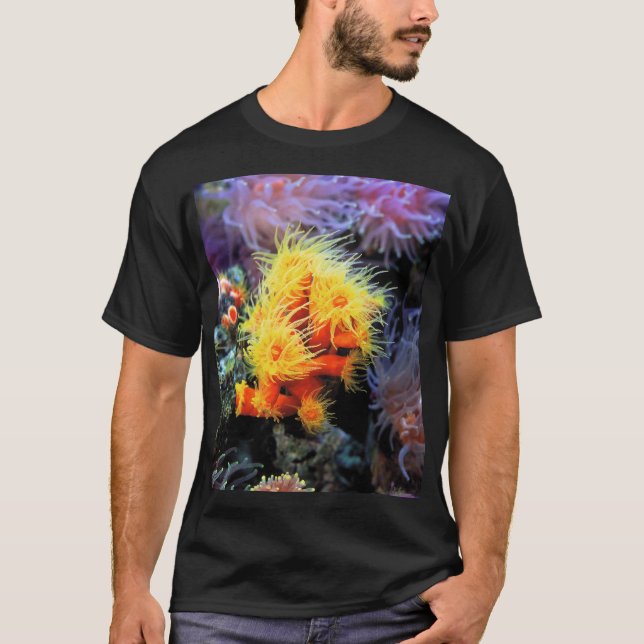 Dendrophyllia arbuscula T-Shirt (Front)