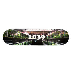 deng deng skateboard