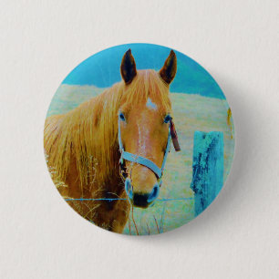 Denim blue tinted Horse 6 Cm Round Badge