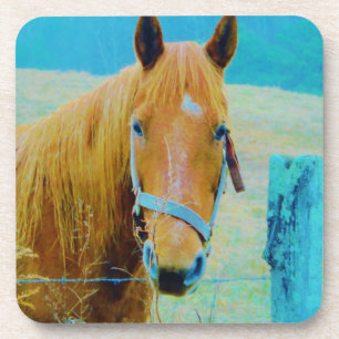 Denim blue tinted Horse Coaster