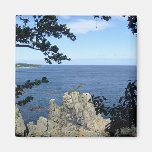 Denmark: Coast of Denmark Magnet