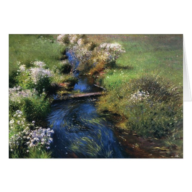 Dennis Miller Bunker's Wild Asters (Front Horizontal)